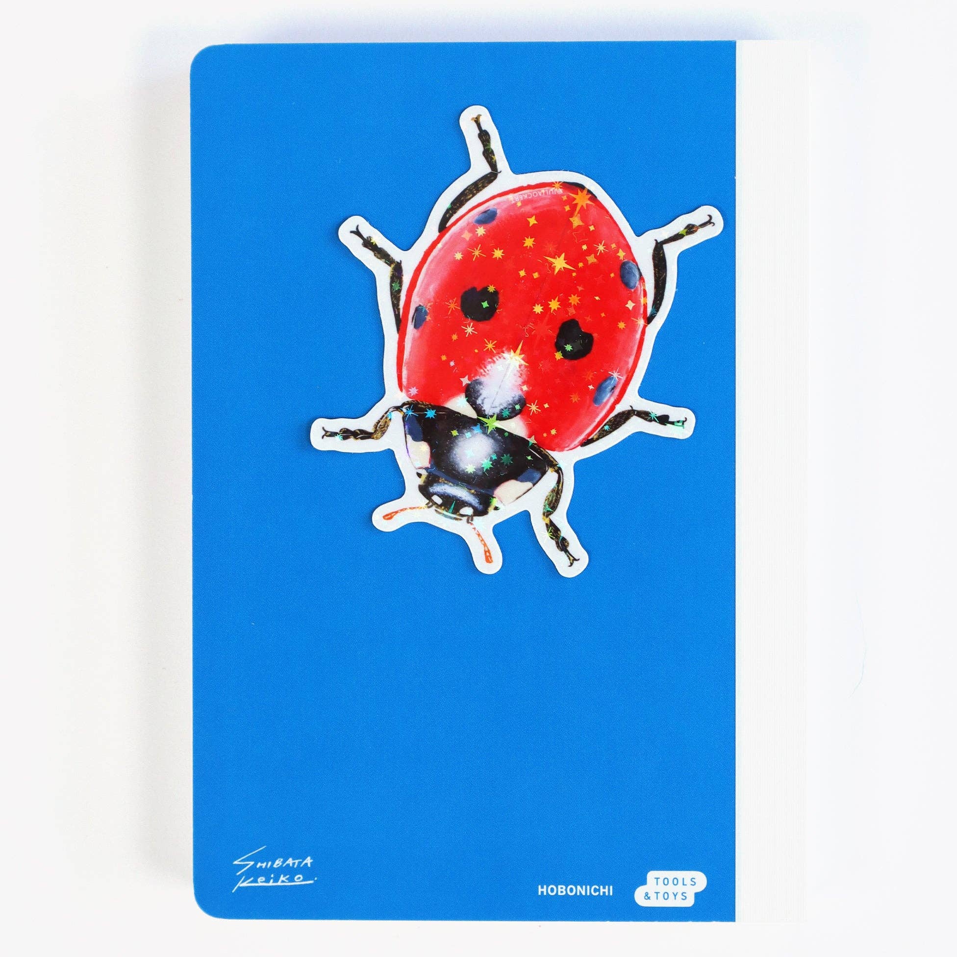 Starry Ladybug / Lady Beetle Sticker