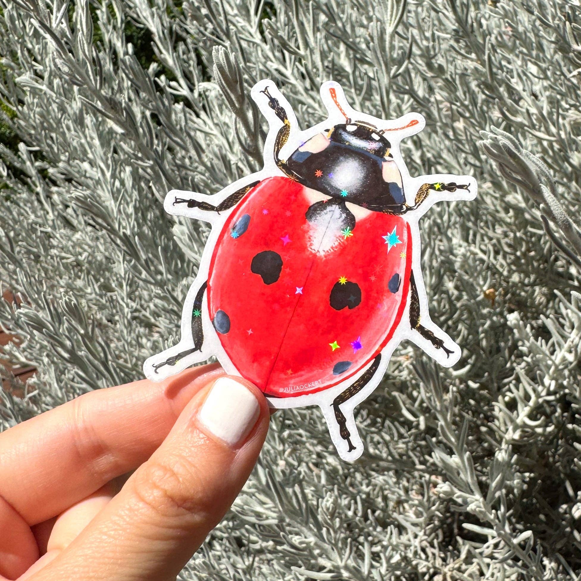 Starry Ladybug / Lady Beetle Sticker