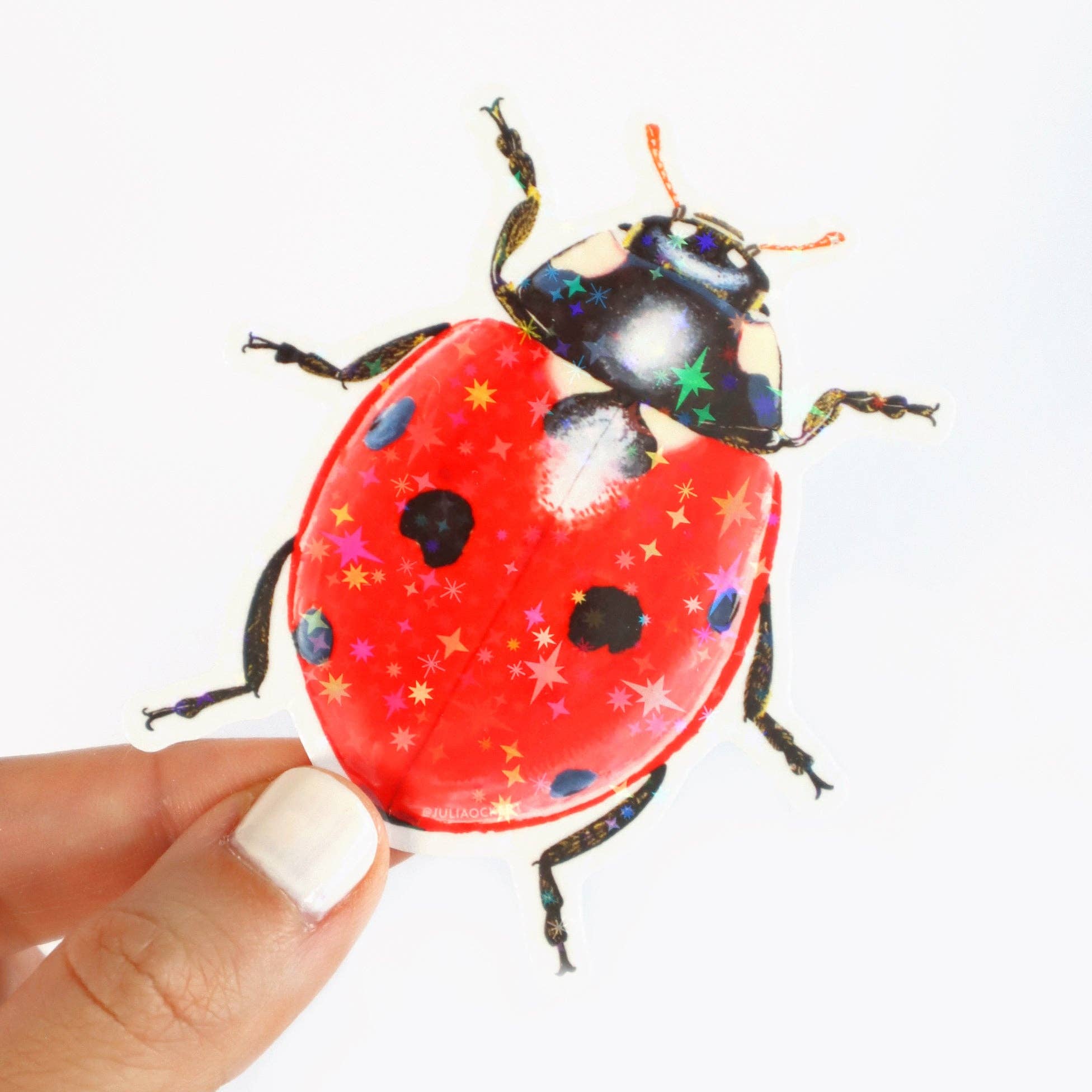 Starry Ladybug / Lady Beetle Sticker
