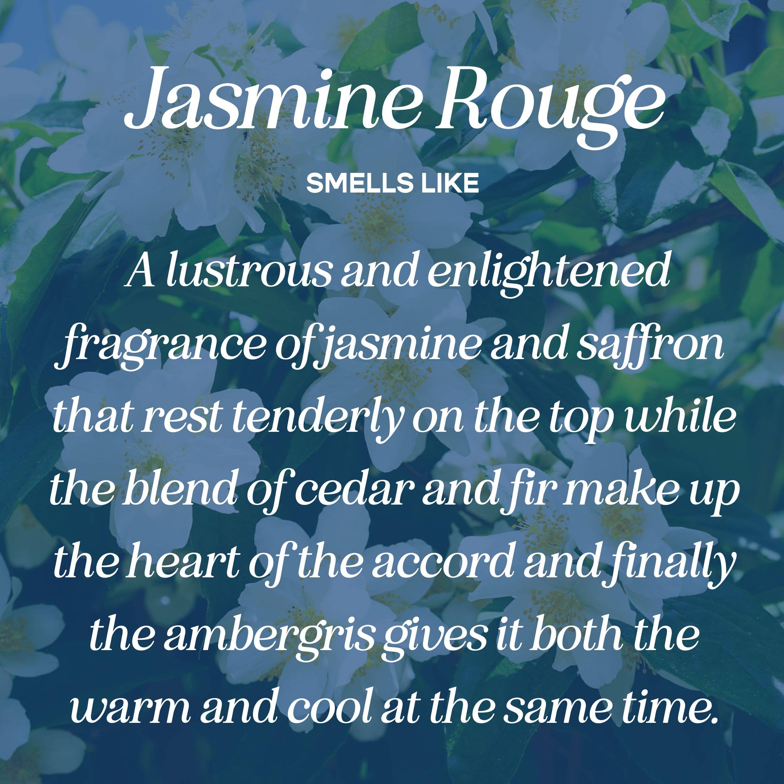 Hot Girls Read Candle